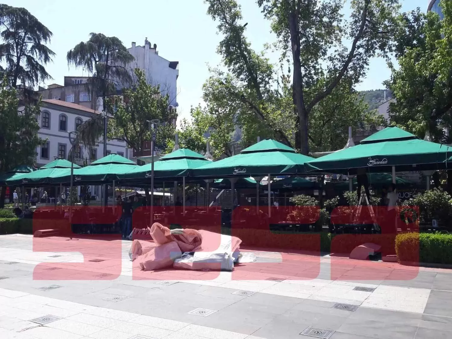 Şemsiye